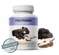 MycoMedica Polyporus 90cps. 