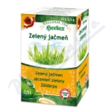 HERBEX Zelen jemen n. s. 20x2. 5g