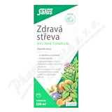 SALUS Zdrav steva bylinn tonikum 250ml