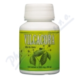 HEMANN Vilcacora tablety tbl. 120